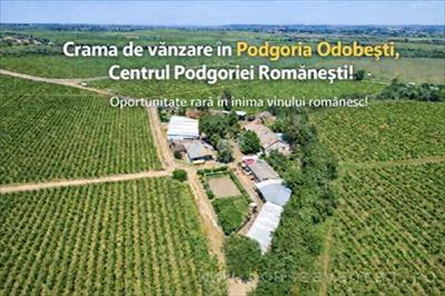 De vanzare proprietate in VARTESCOIU VRANCEA, pozitionare in zona Vest 7415