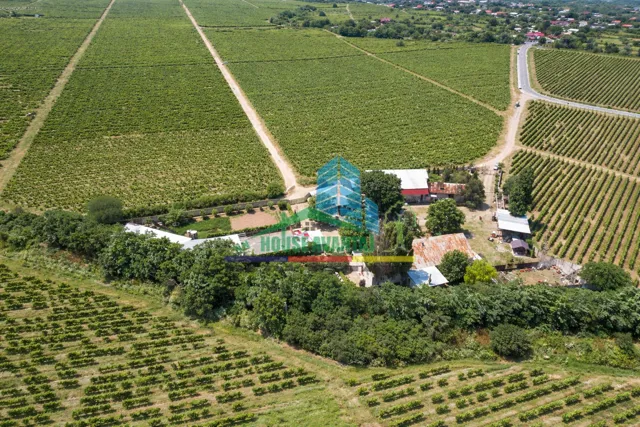Cramă complet funcțională in inima Podgoriei Odobești