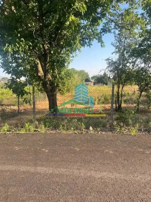 Teren 1500 mp pentru Casă | Petrești, Zonă de Case