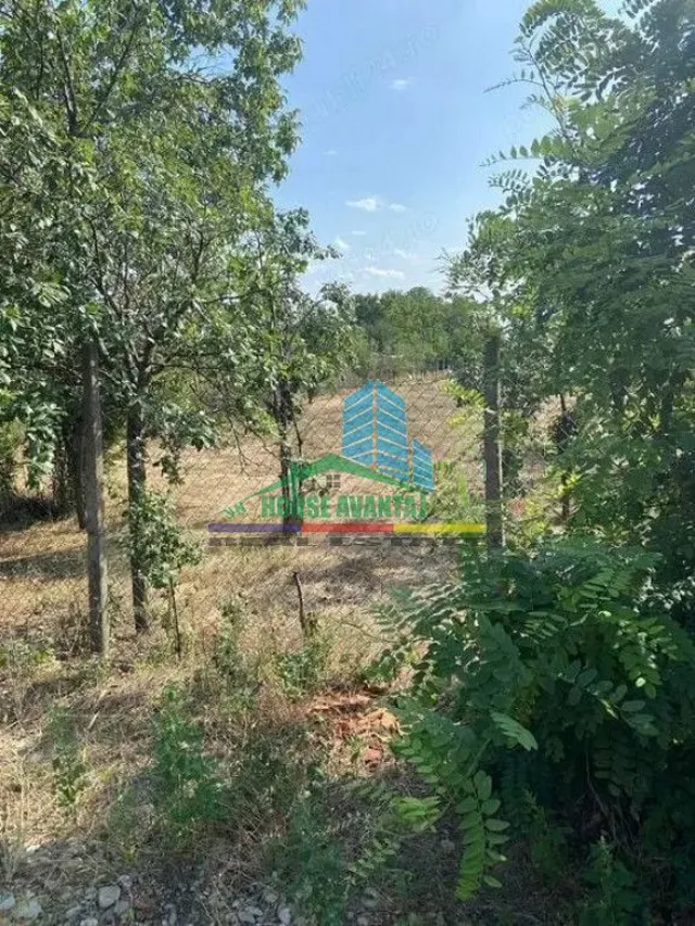 Teren 1500 mp pentru Casă | Petrești, Zonă de Case