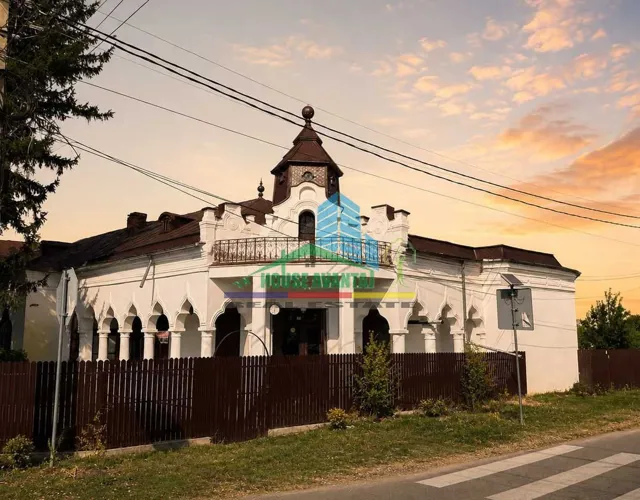 Conac istoric Copanescu, 1925 – proprietate unică cu teren 1.657 mp