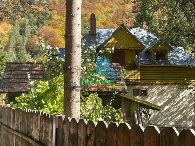 Casă de vacanță în Lepșa