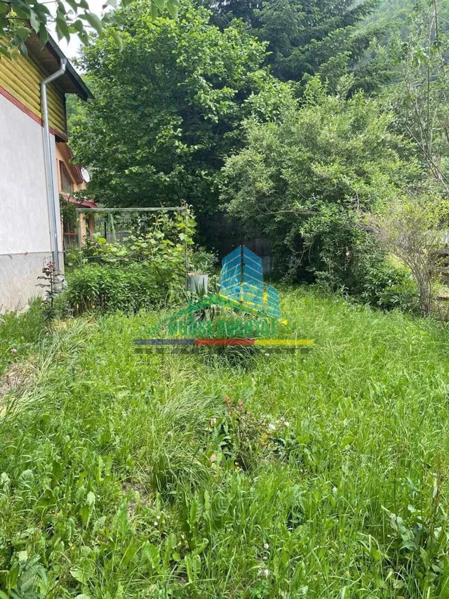 Casă de vacanță în Lepșa